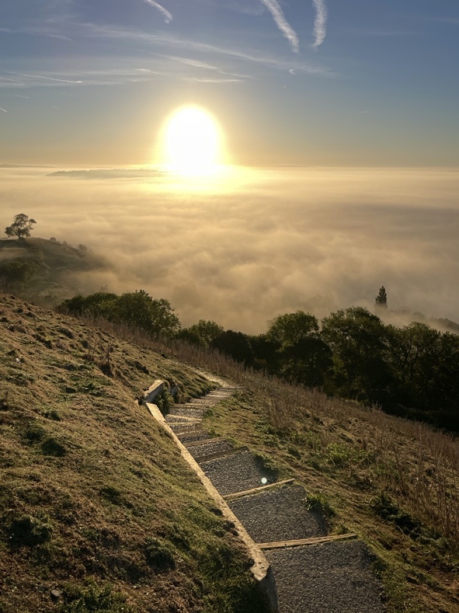 Stone steps leading up a hillside towards the sunrise